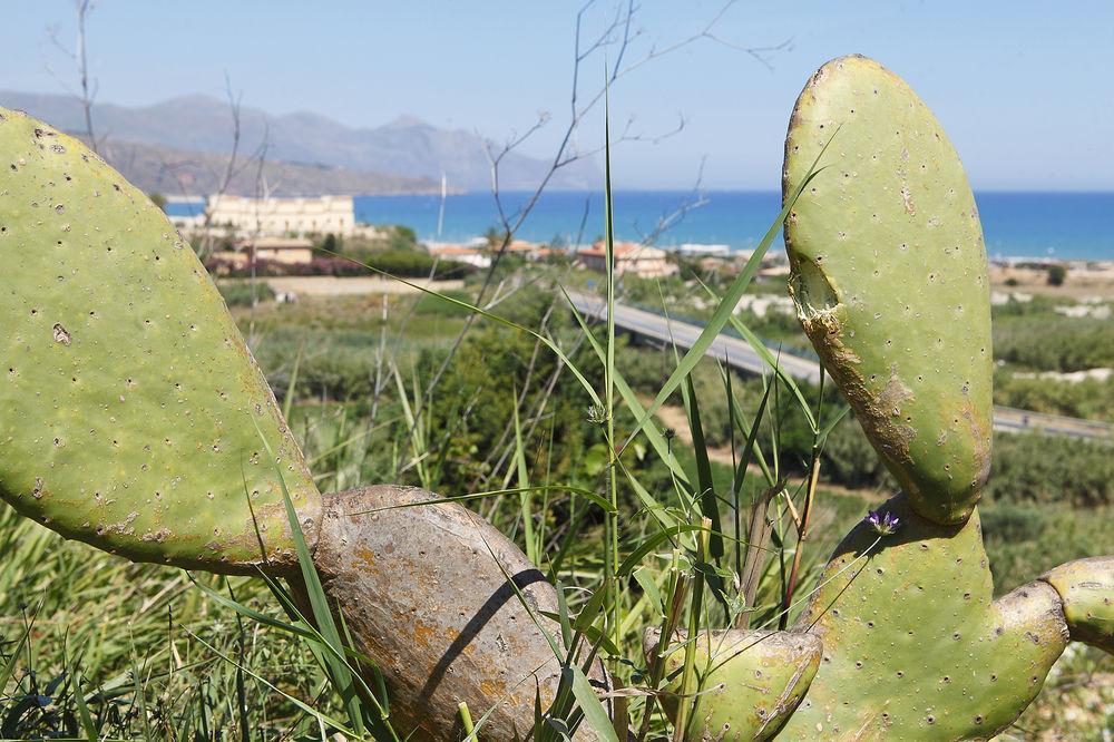 Appartaville Castellammare Del Golfo Exterior foto